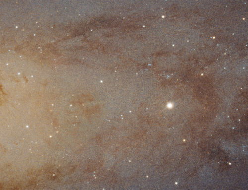 A Big Picture of Andromeda