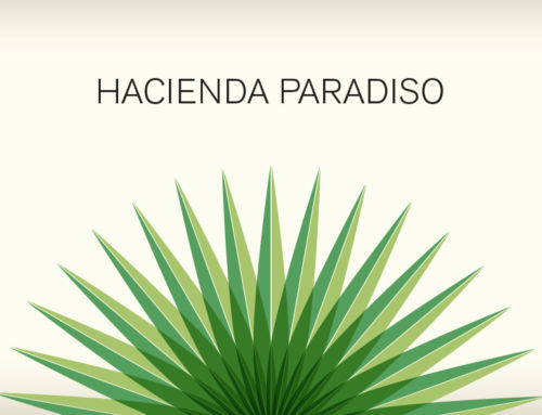 Hacienda Paradiso
